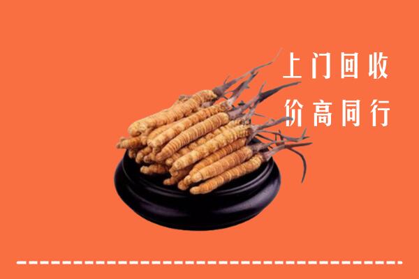高价求购：嘉兴市海盐回收散虫草