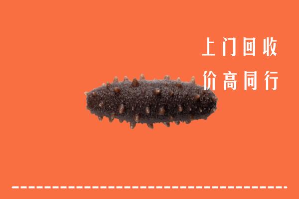 高价求购：嘉兴市海盐回收海参