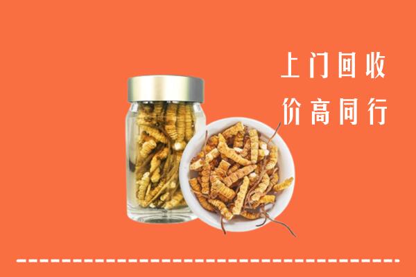 收购行情：嘉兴市海盐回收冬虫夏草