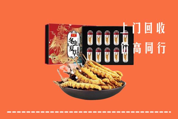 收购行情：嘉兴市海盐回收虫草